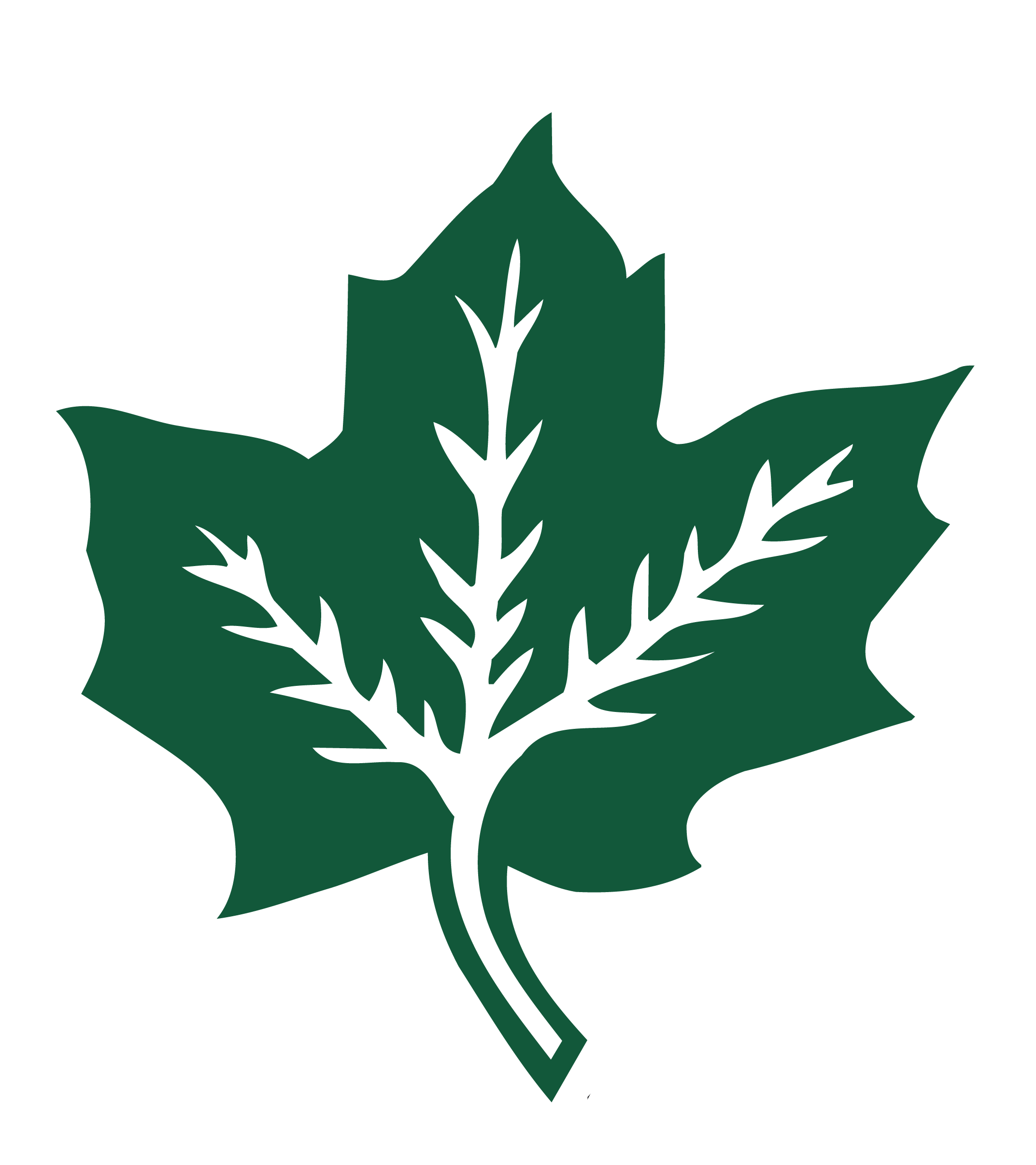 Maple Leaf Cement Factory Limited